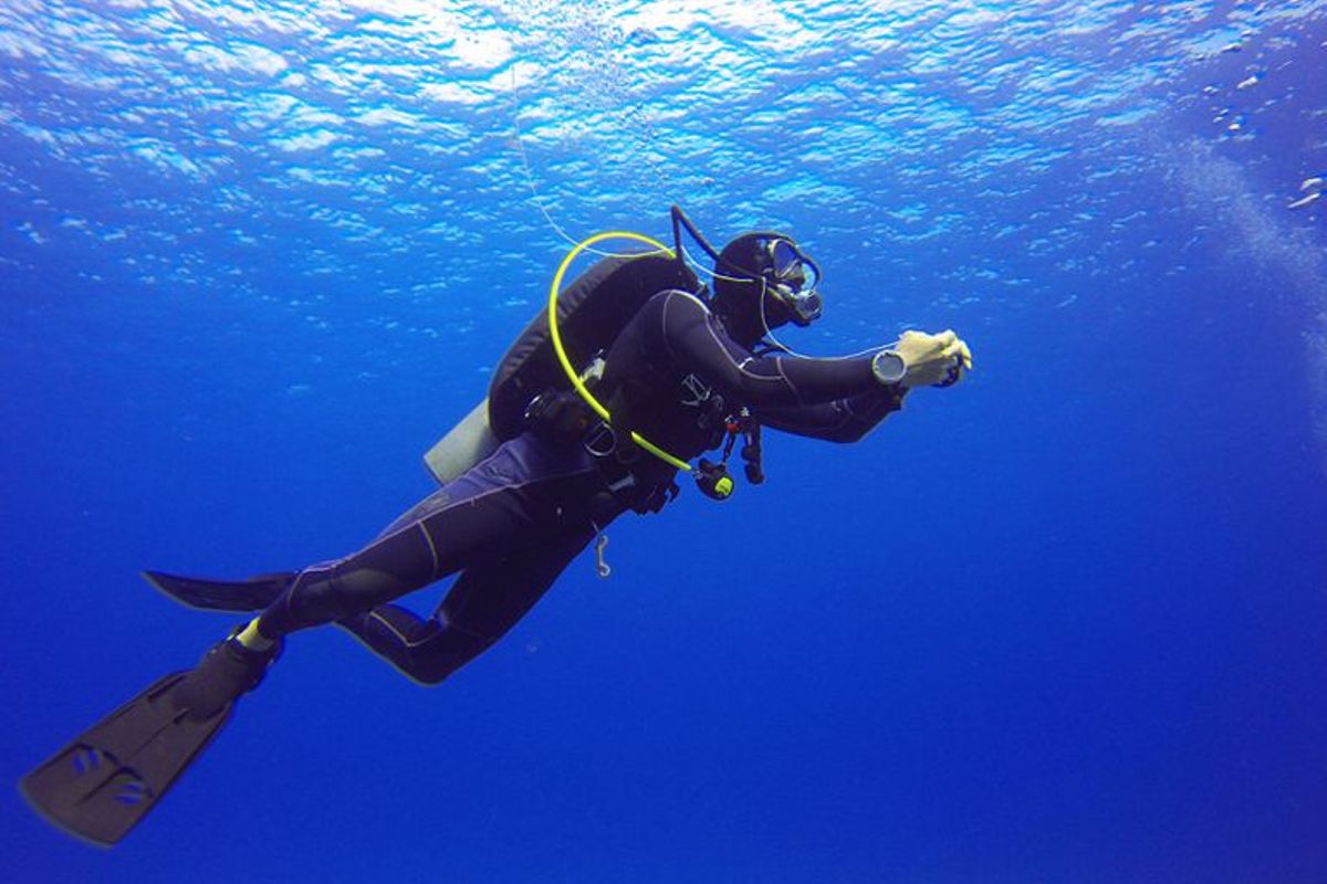 Image result for south African divers in Likoni