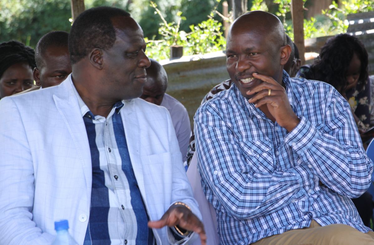 Senator Okong’o: Nyamira loses Sh150 million revenue annually