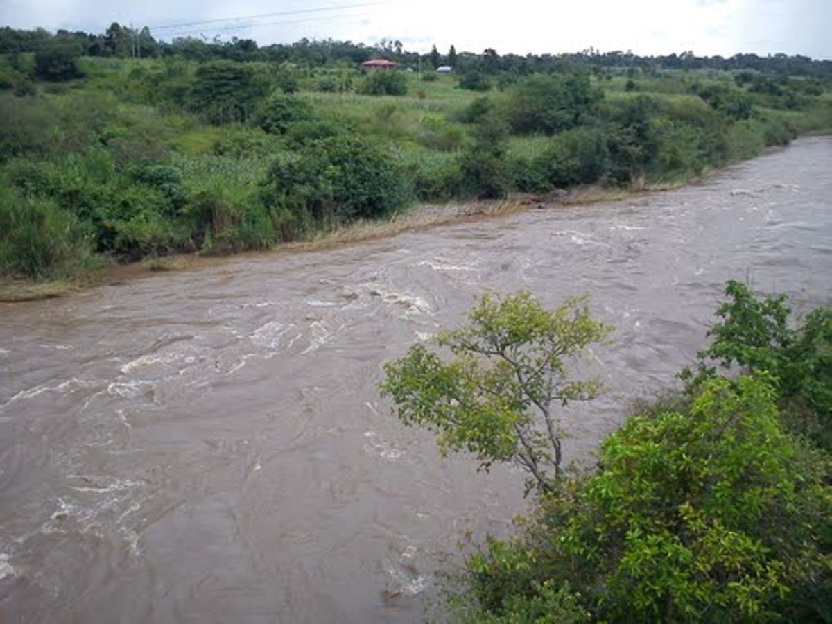 Students drown in river while taking selfies