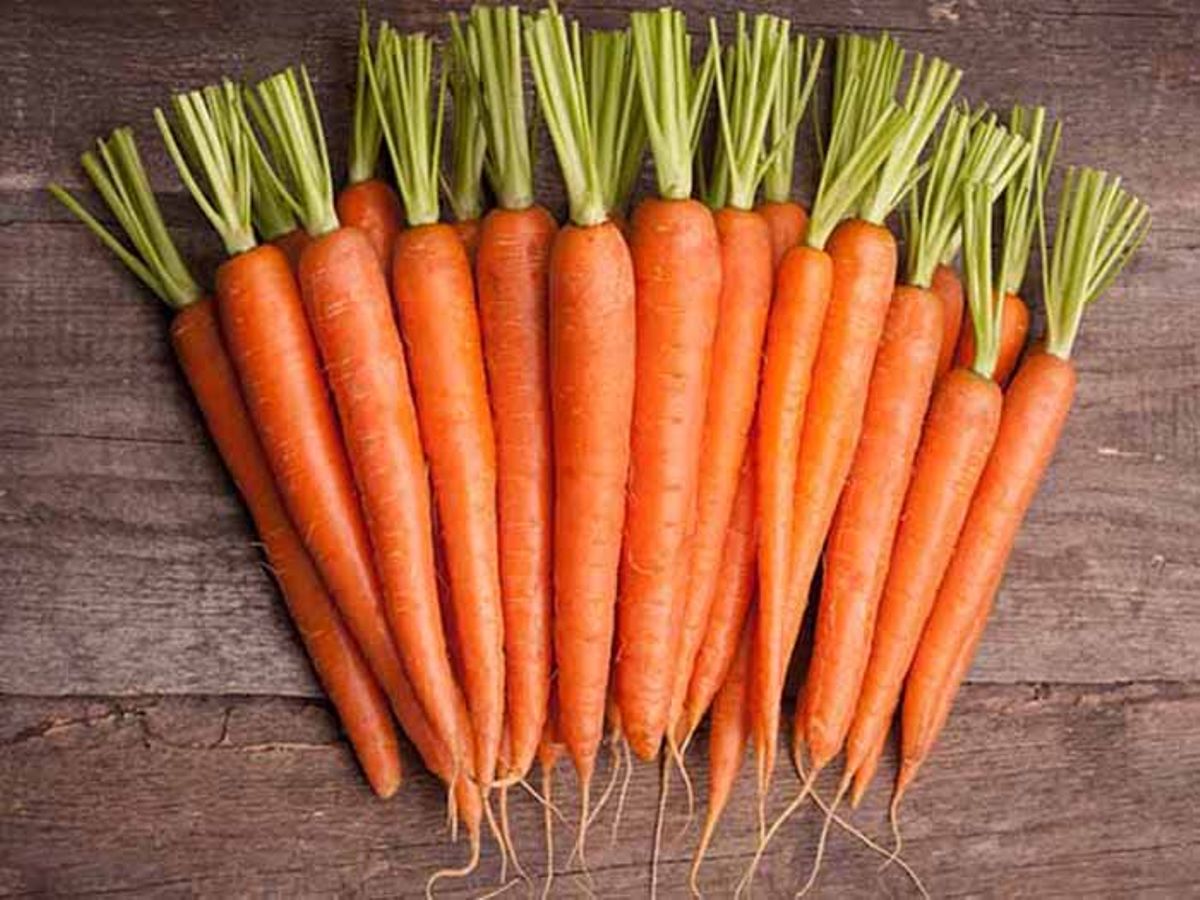 Why carrots are a fertility super food