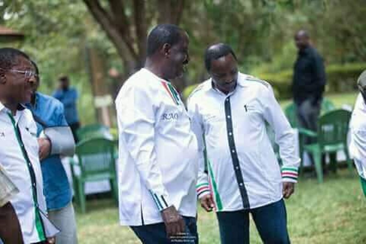 Nasa Raila Raila's NASA successor identified