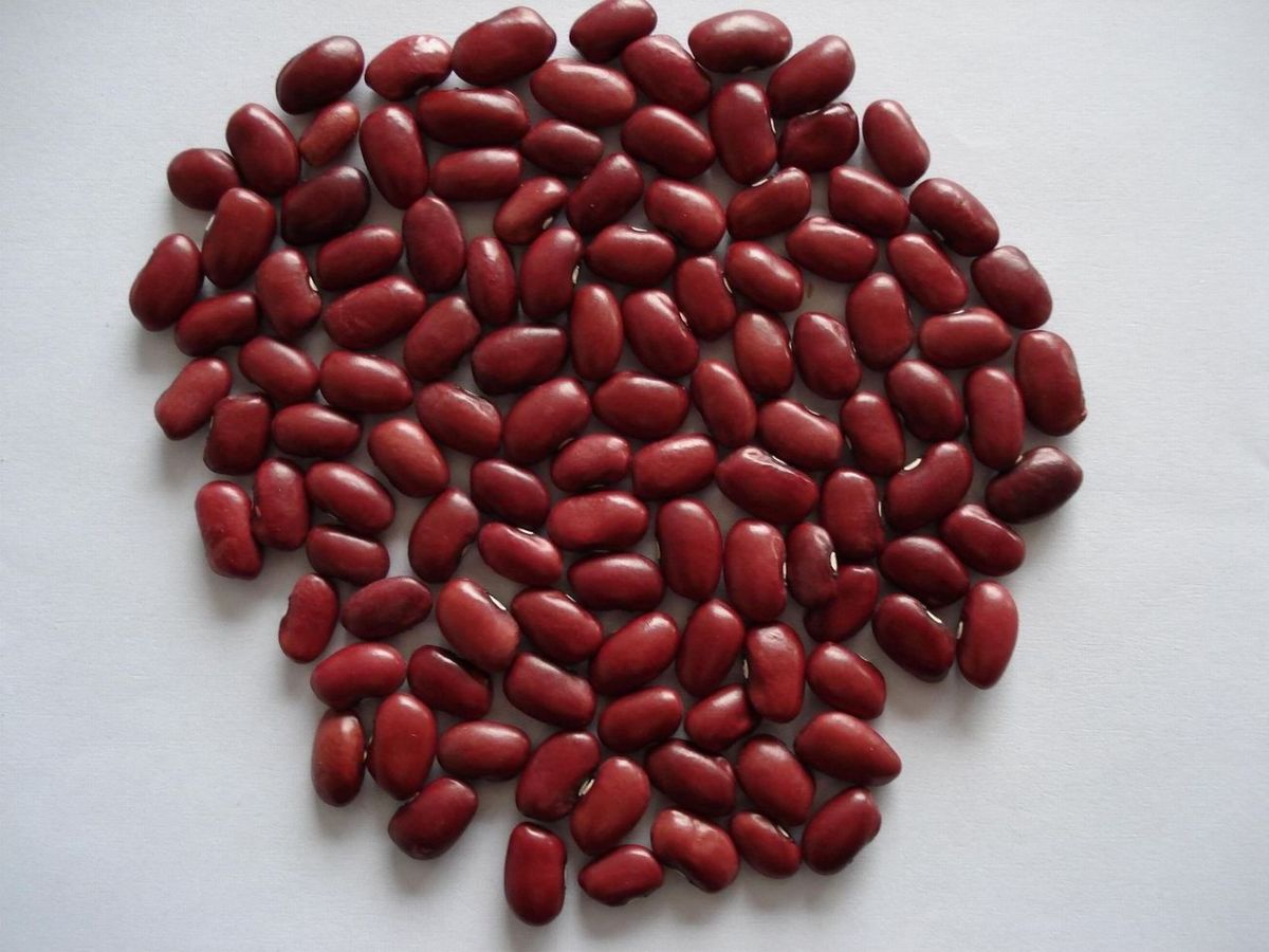 Foods that fight anemia