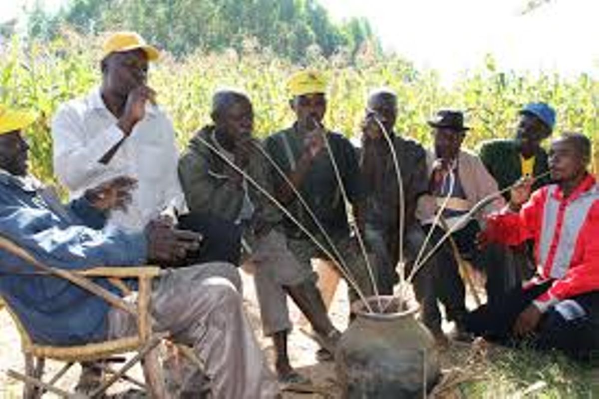Shocking: UON researchers' findings about busaa