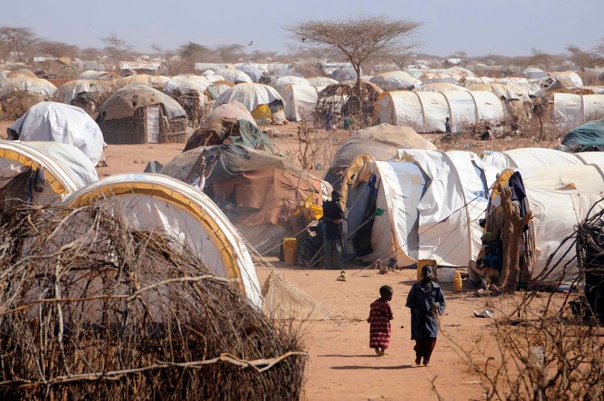 UNHCR to provide funds to restore the environment in Dadaab