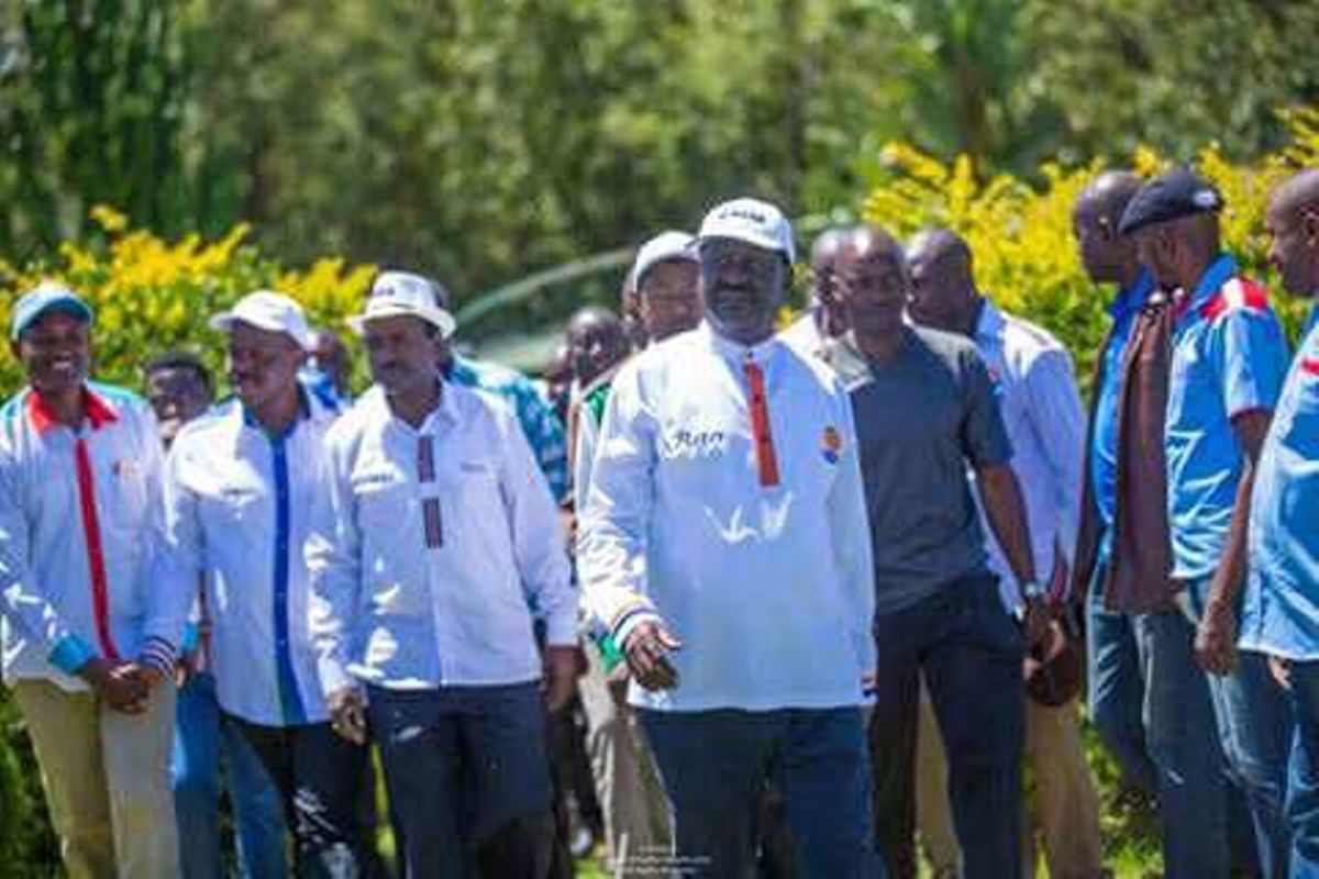 Nasa Raila Raila deserted by NASA co-principals