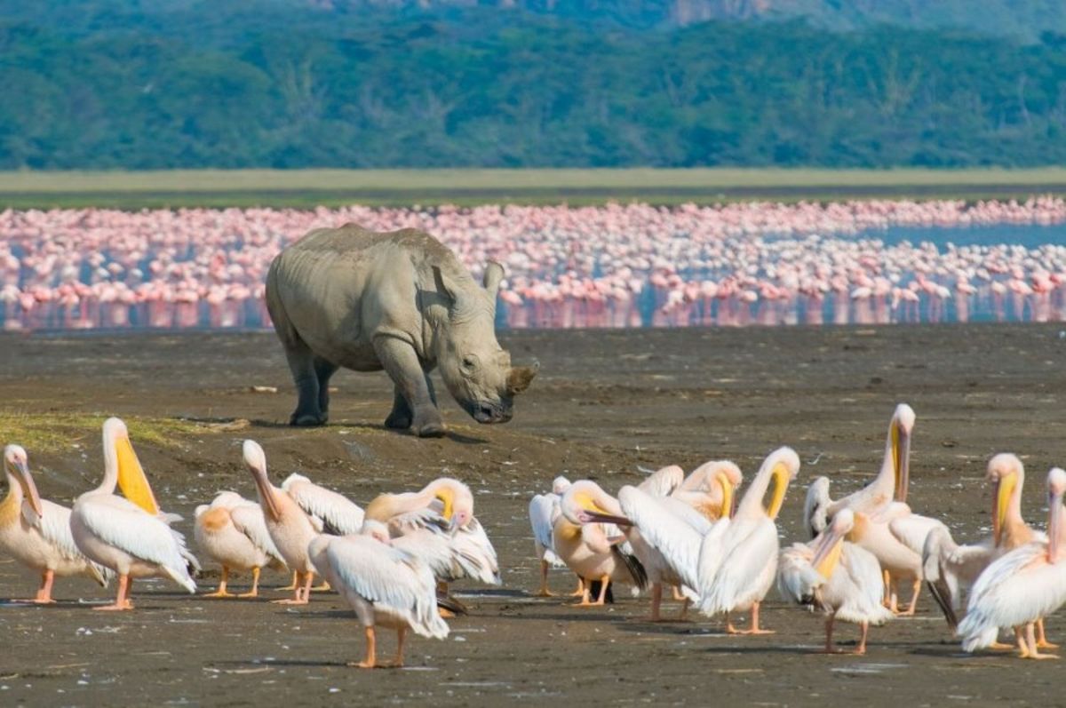 World Bank to assist in cleaning lakes Nakuru, Naivasha