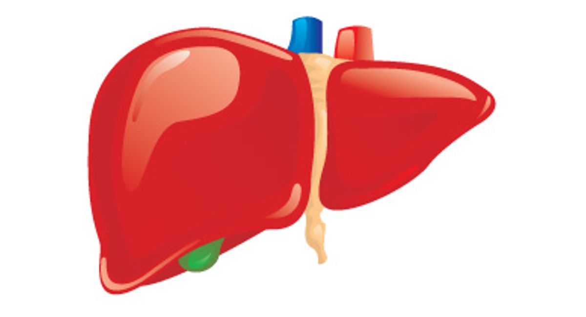 how-to-achieve-maximum-liver-functionality-naturally