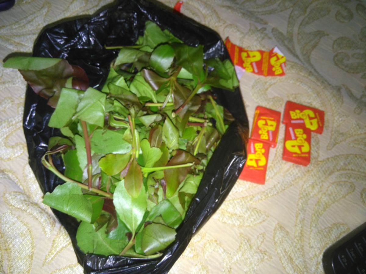 5 effects of chewing gums no one is telling you