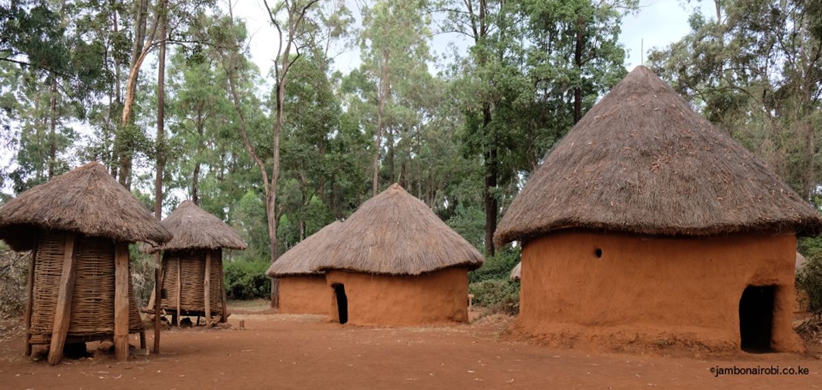 three-things-you-cannot-miss-in-a-rural-luo-homestead