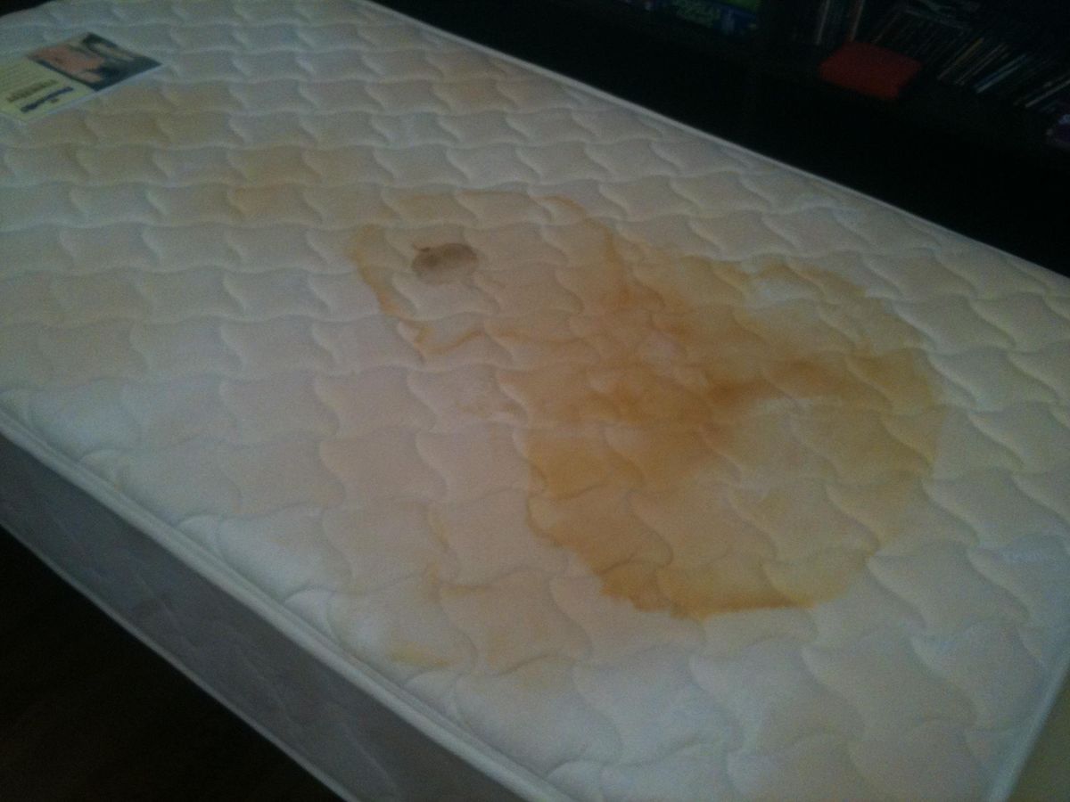 Tip on How to Clean Mattress Pee Stain - Video