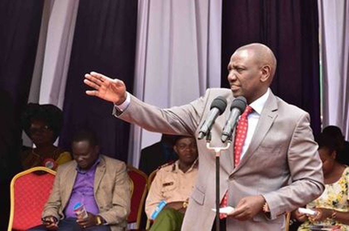 Senator Defends Dp Ruto Against Allegations Of Hate Speech